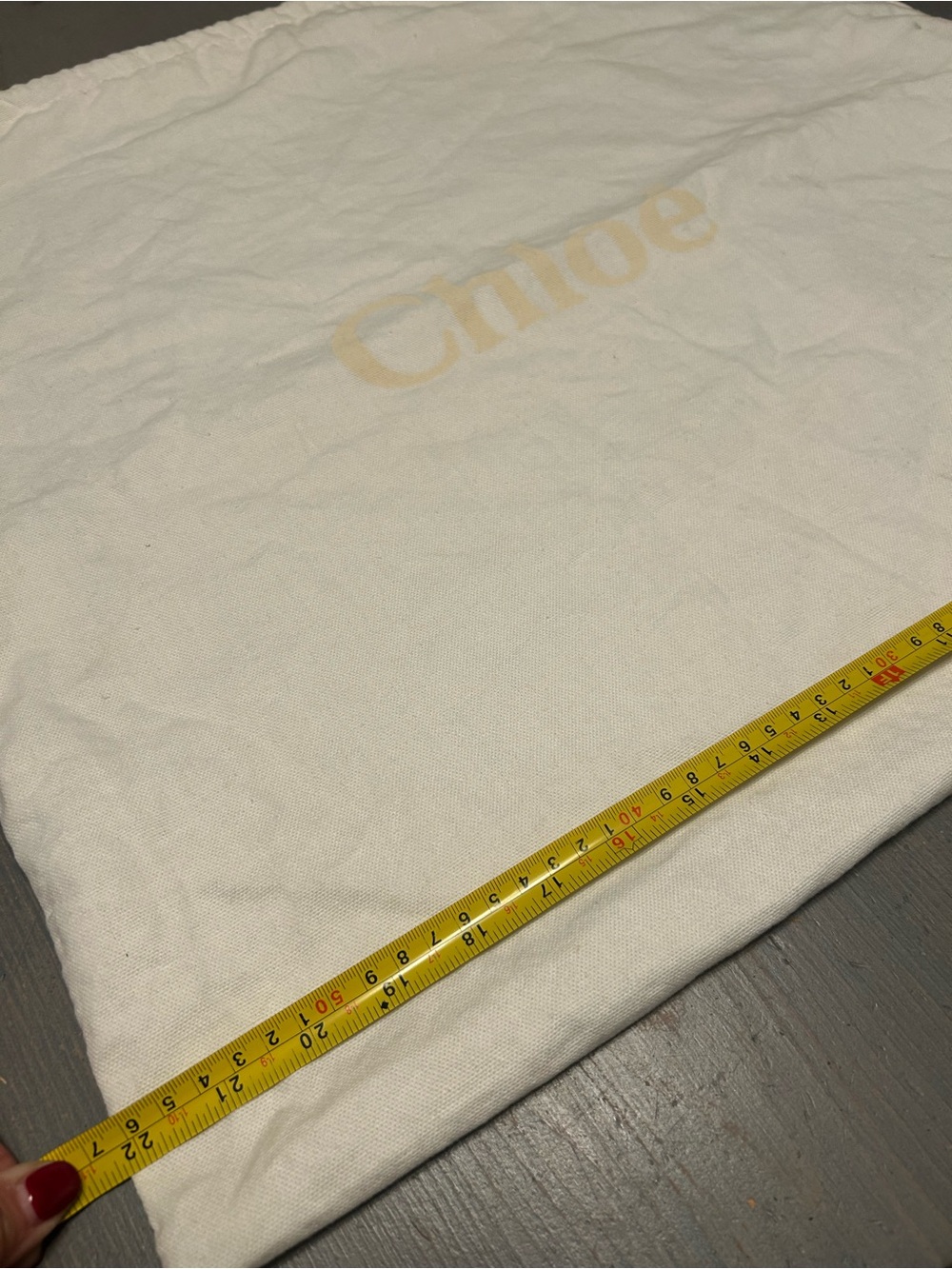 Chloe large dustbag either drawstring